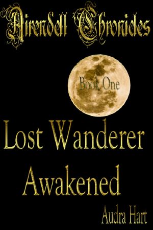 [The Airendell Chronicles 01] • Lost Wanderer Awakened